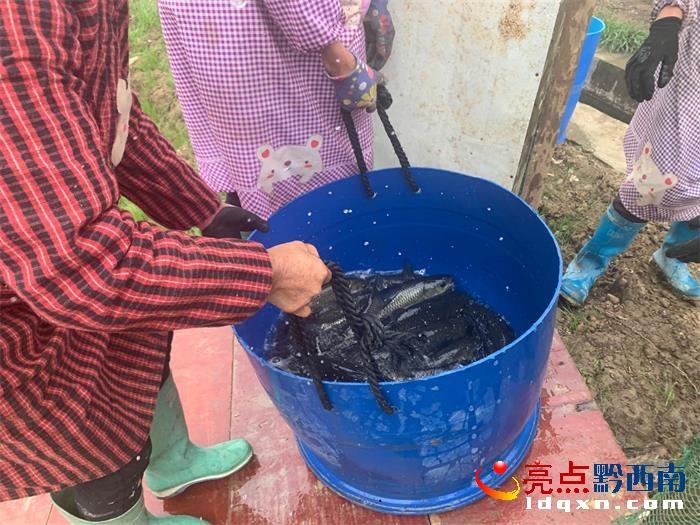 众利最新模式引领企业共赢新时代