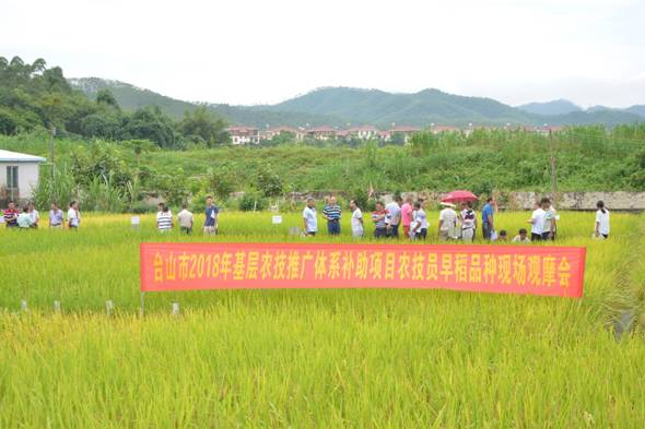 彰武县农业农村局新项目推动农业现代化，乡村振兴再添动力