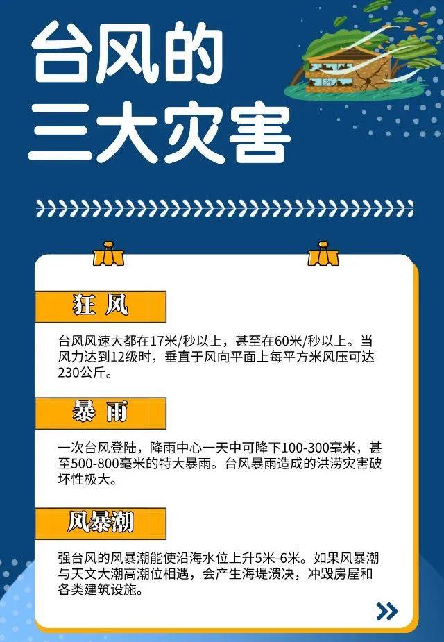 城阳台风预警更新，如何应对台风天气及其影响全攻略