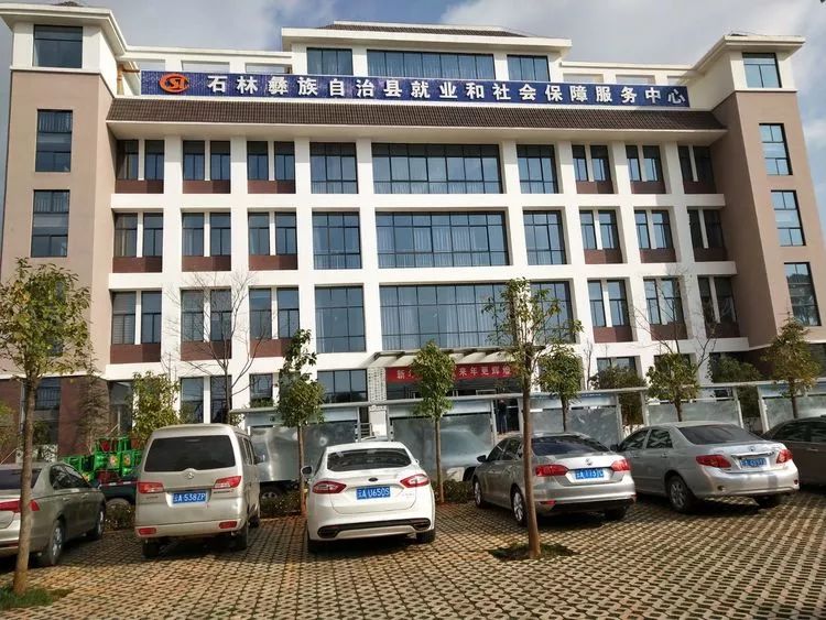 西林区级托养福利事业单位最新项目，托养服务升级与社区福利拓展新动向