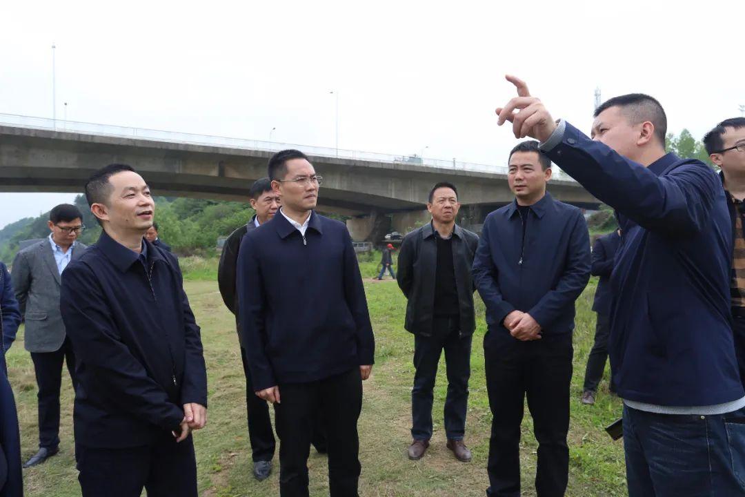 青竹湖镇最新发展规划揭秘，塑造未来城市新面貌