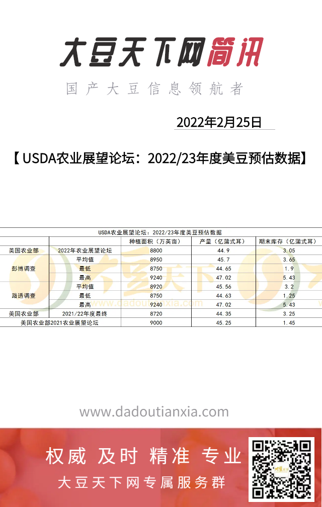 国储大豆最新信息深度解析与概述
