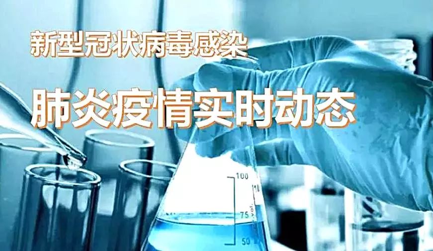 全国新款肺炎最新动态更新，疫情动态总览