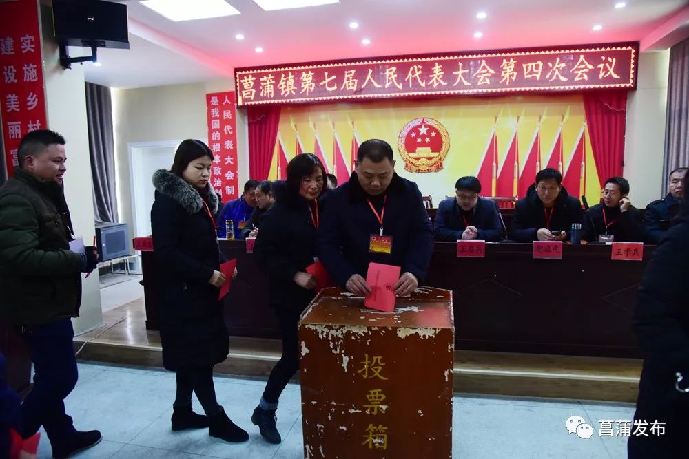 胜浦镇最新人事任命及动态更新