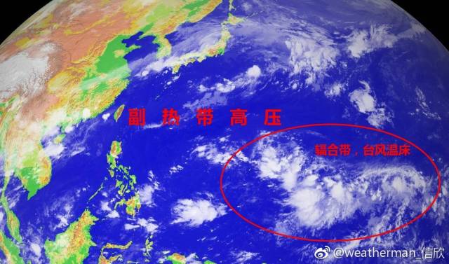 今年最新台风消息及其影响深度分析
