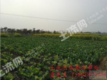 彭州三界最新动态，揭开新时代的神秘面纱