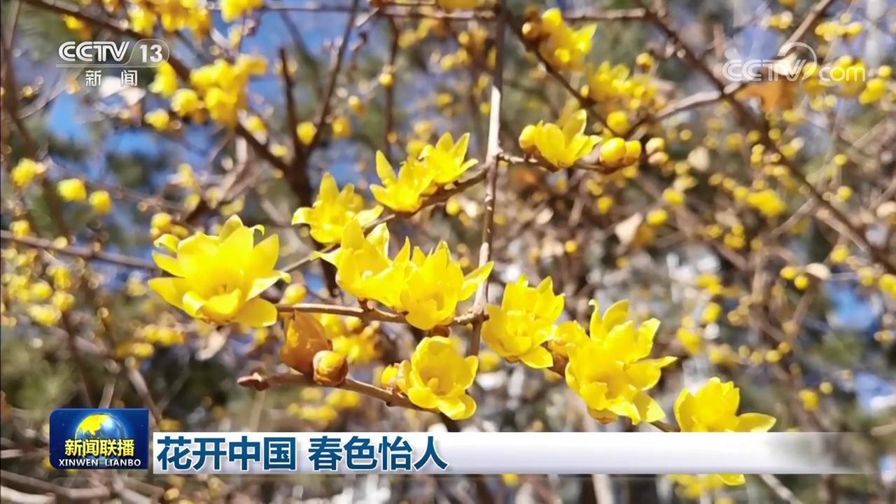 枝江最新动态解读，城市发展与未来展望展望全面解析