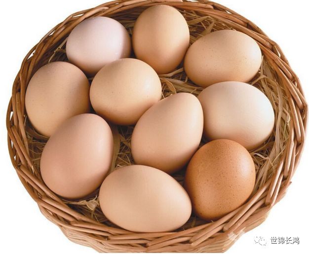 北京鸡蛋价格最新动态分析与趋势预测