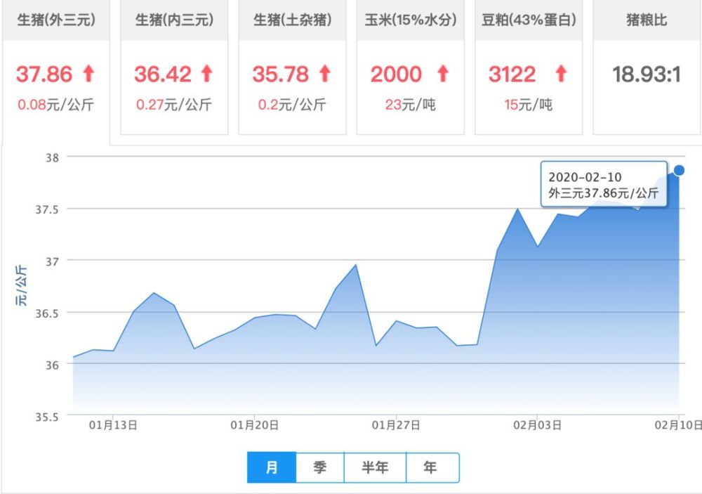 今年生猪最新价格及分析概述