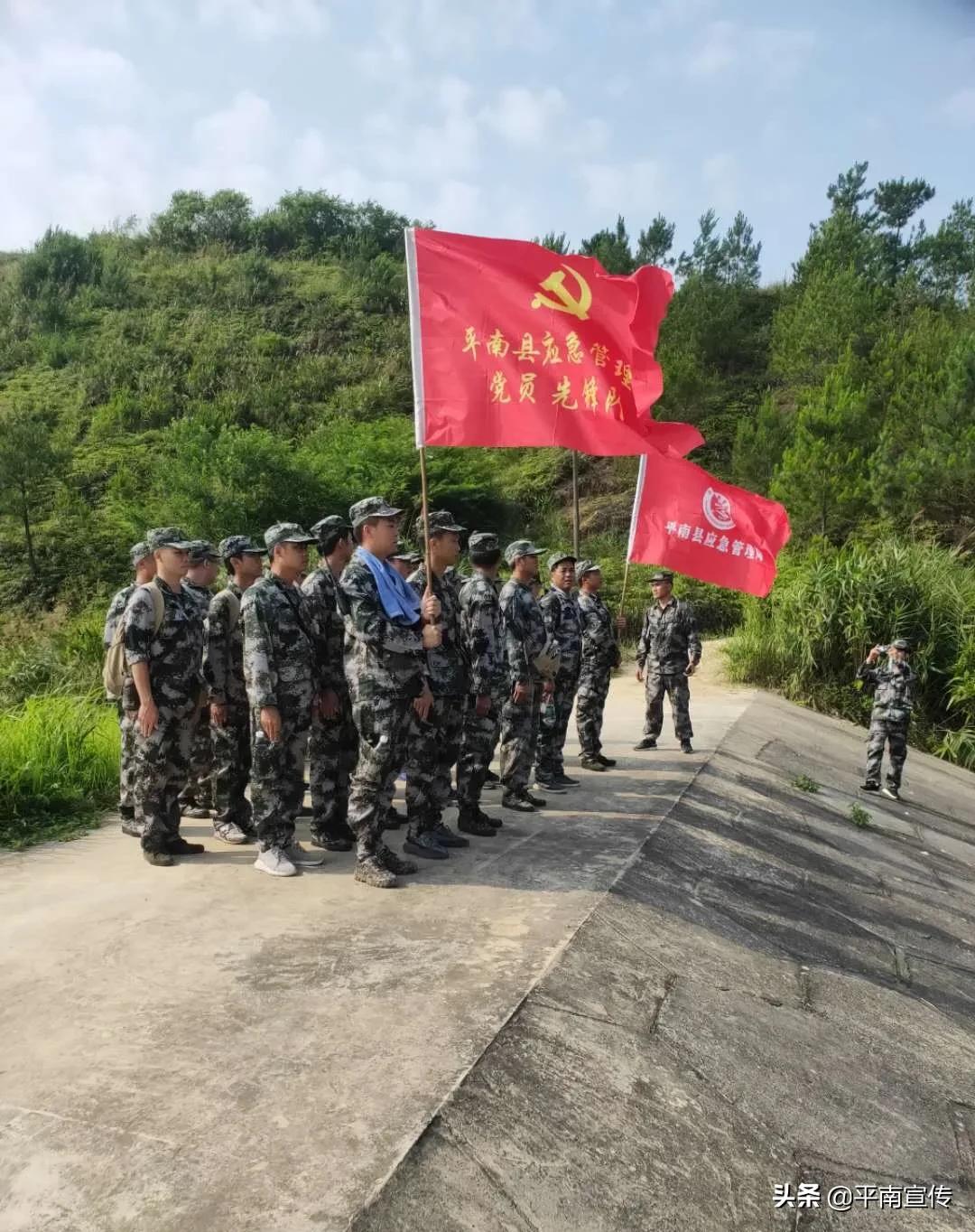 平南县发展和改革局最新招聘信息公告揭秘！