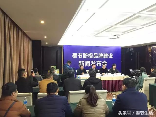 奉节县科技局最新新闻概览