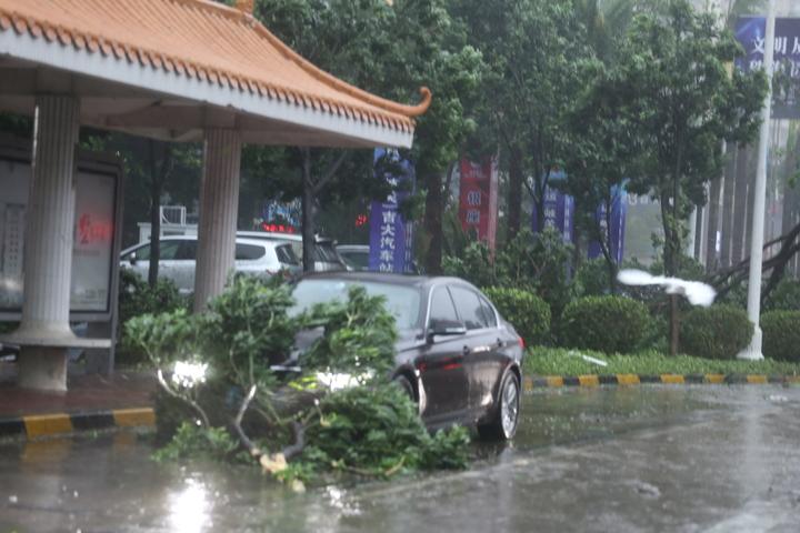 九号台风实时更新，最新动态与影响分析