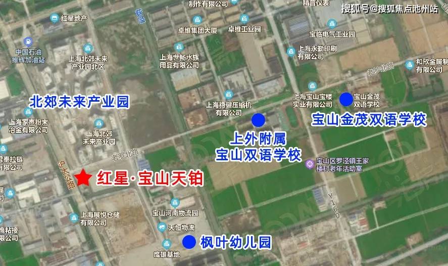 野娅芳 第2页