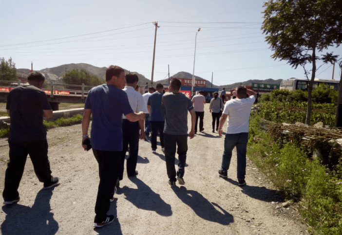 刀尔登镇最新项目，引领地区发展的强大动力源泉