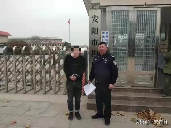 东莞最新假烟案件深度剖析与揭秘