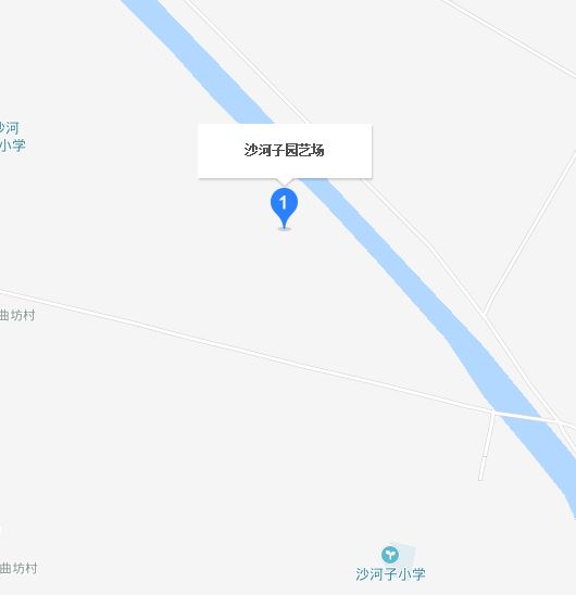 沙河子园艺场交通新闻更新，最新动态与资讯
