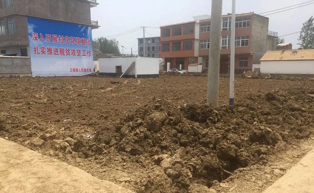 下蔡林场发展规划，迈向绿色生态与经济效益双赢的未来之路