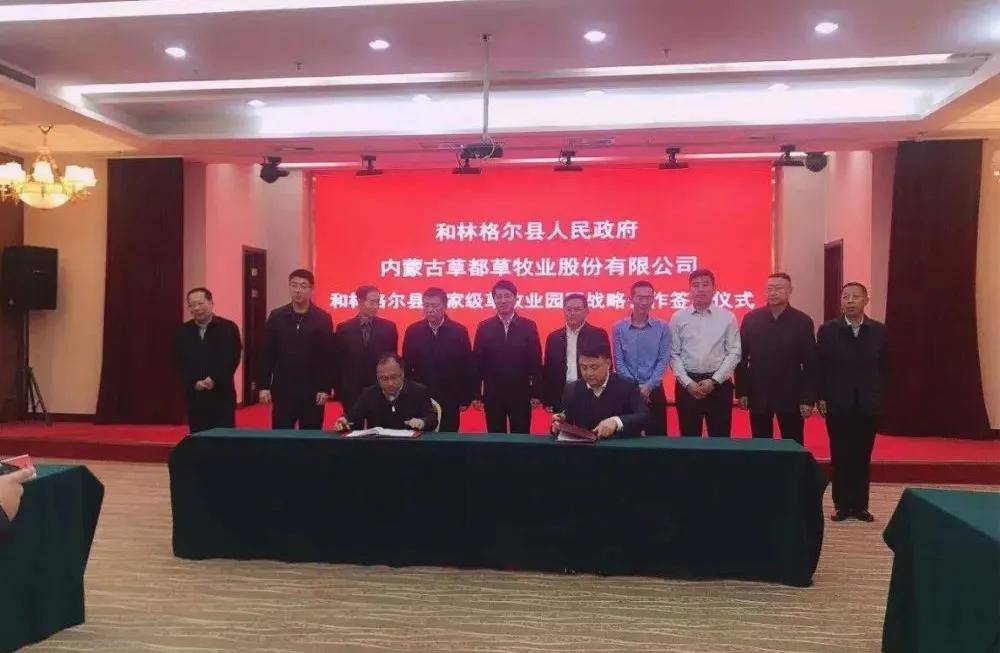 和林格尔县统计局最新项目助力县域经济高质量发展