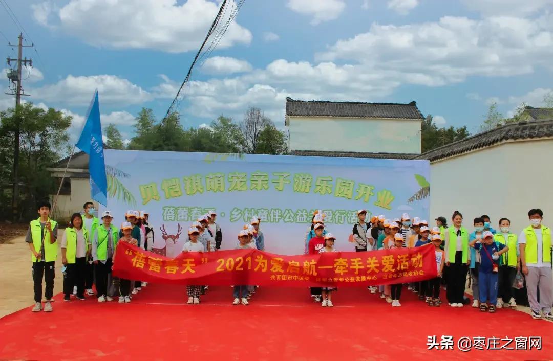 枣庄市共青团市委最新动态报道