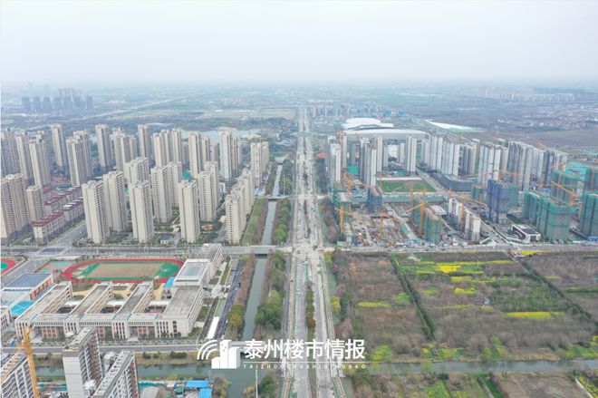 泰州最新动态，城市蓬勃发展活力与未来展望