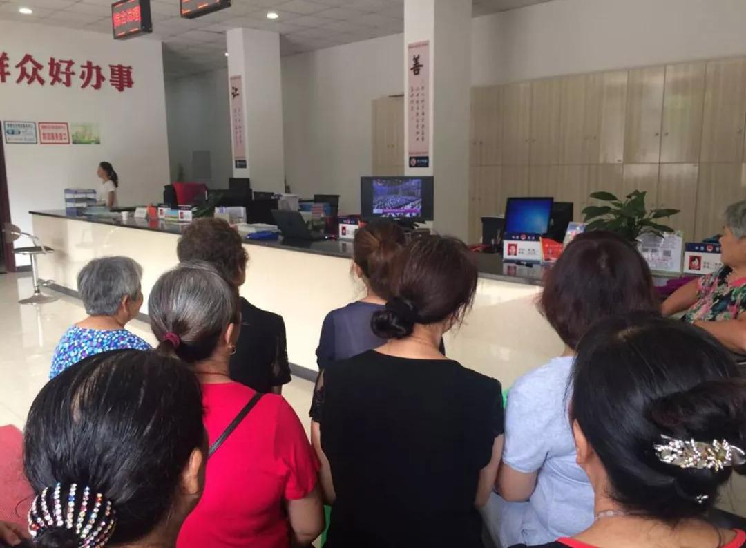 龙凤桥街道最新发展规划揭秘，未来蓝图展望