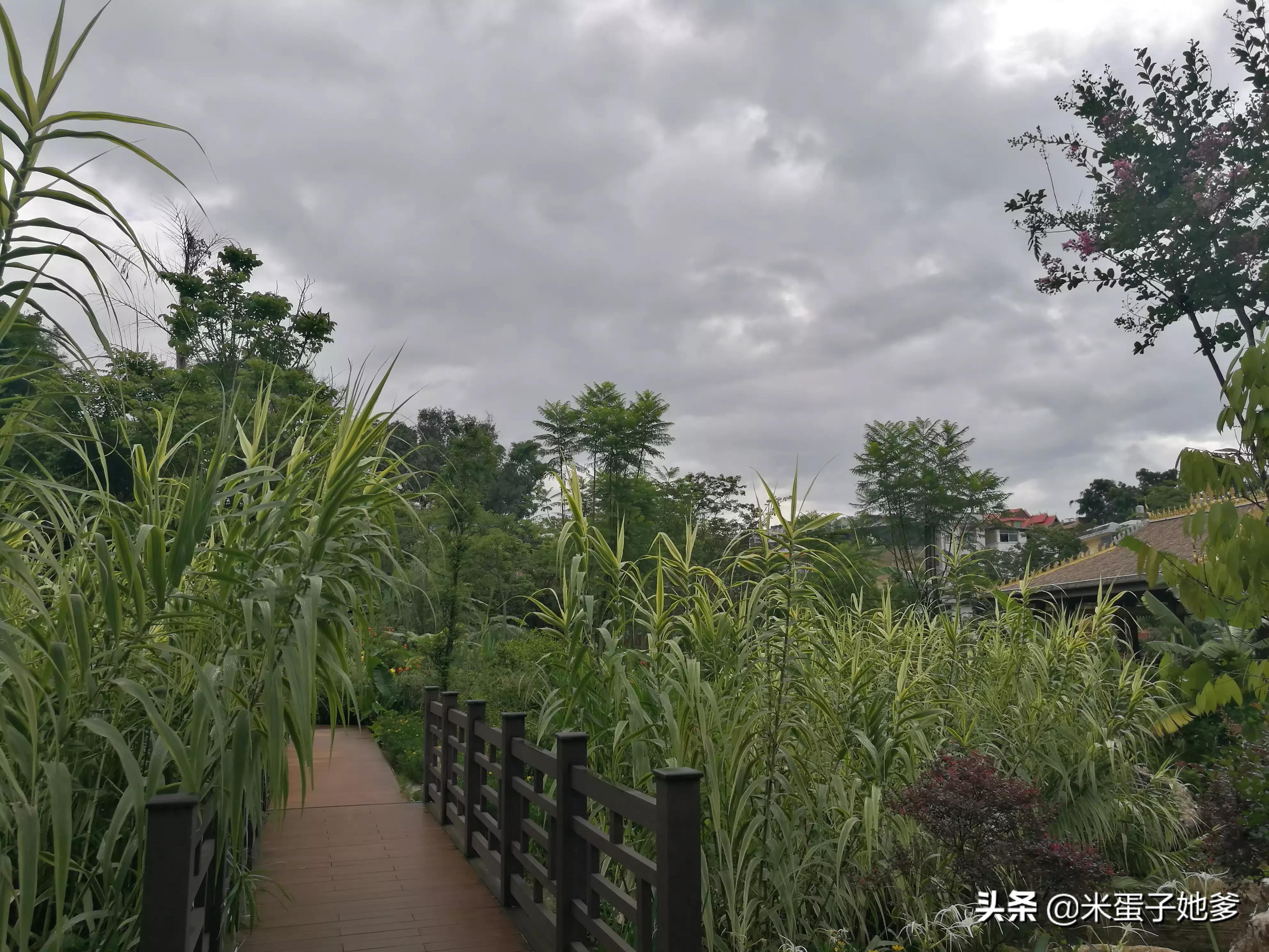 碧安乡耿马镇甘东社区交通新闻更新