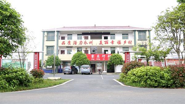 蔡铺村民委员会最新项目，振兴乡村，共创美好未来