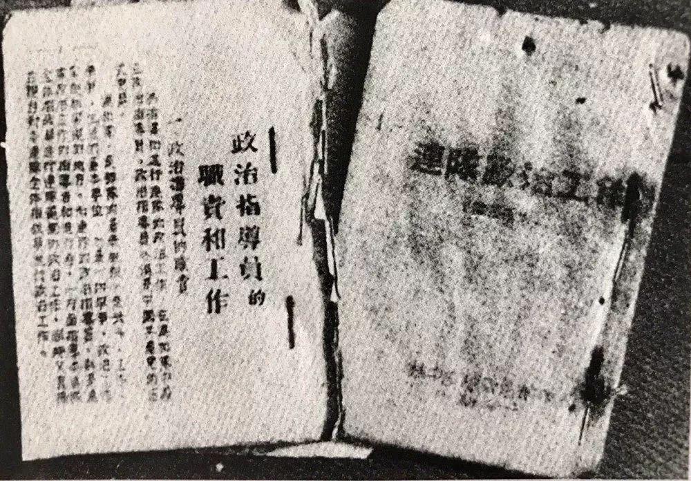 东岭乡最新发展规划揭秘，未来蓝图展望