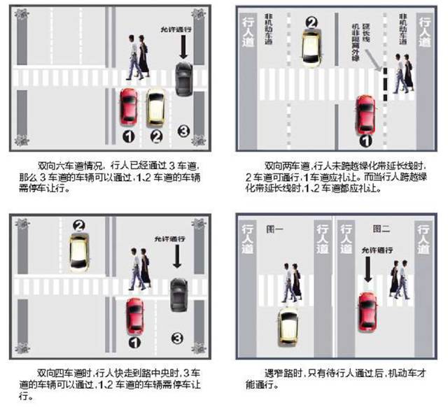 最新礼让行人信息，重塑交通安全文化的关键所在