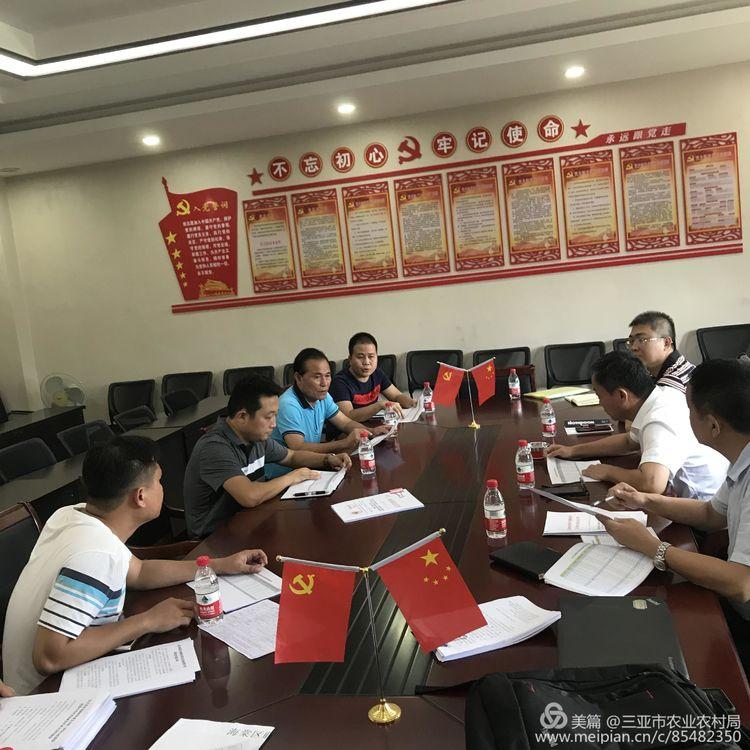 升昌镇最新发展规划，塑造未来繁荣的新蓝图展望