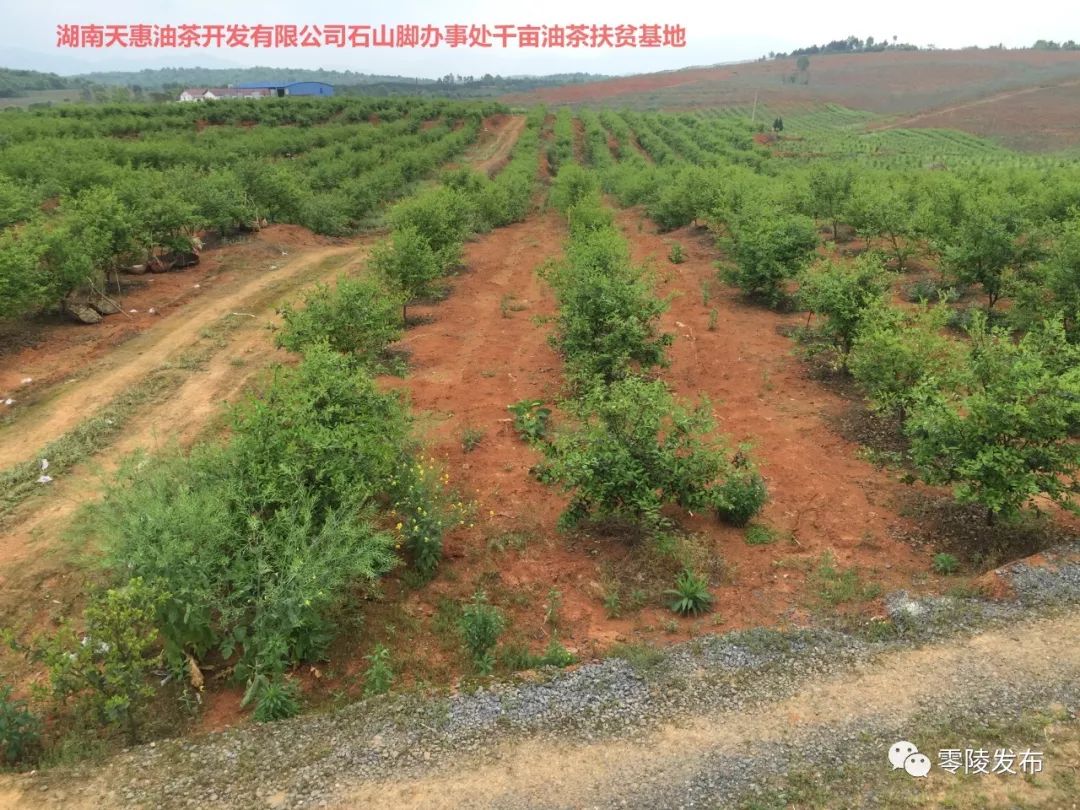 富源县农业农村局最新动态报道