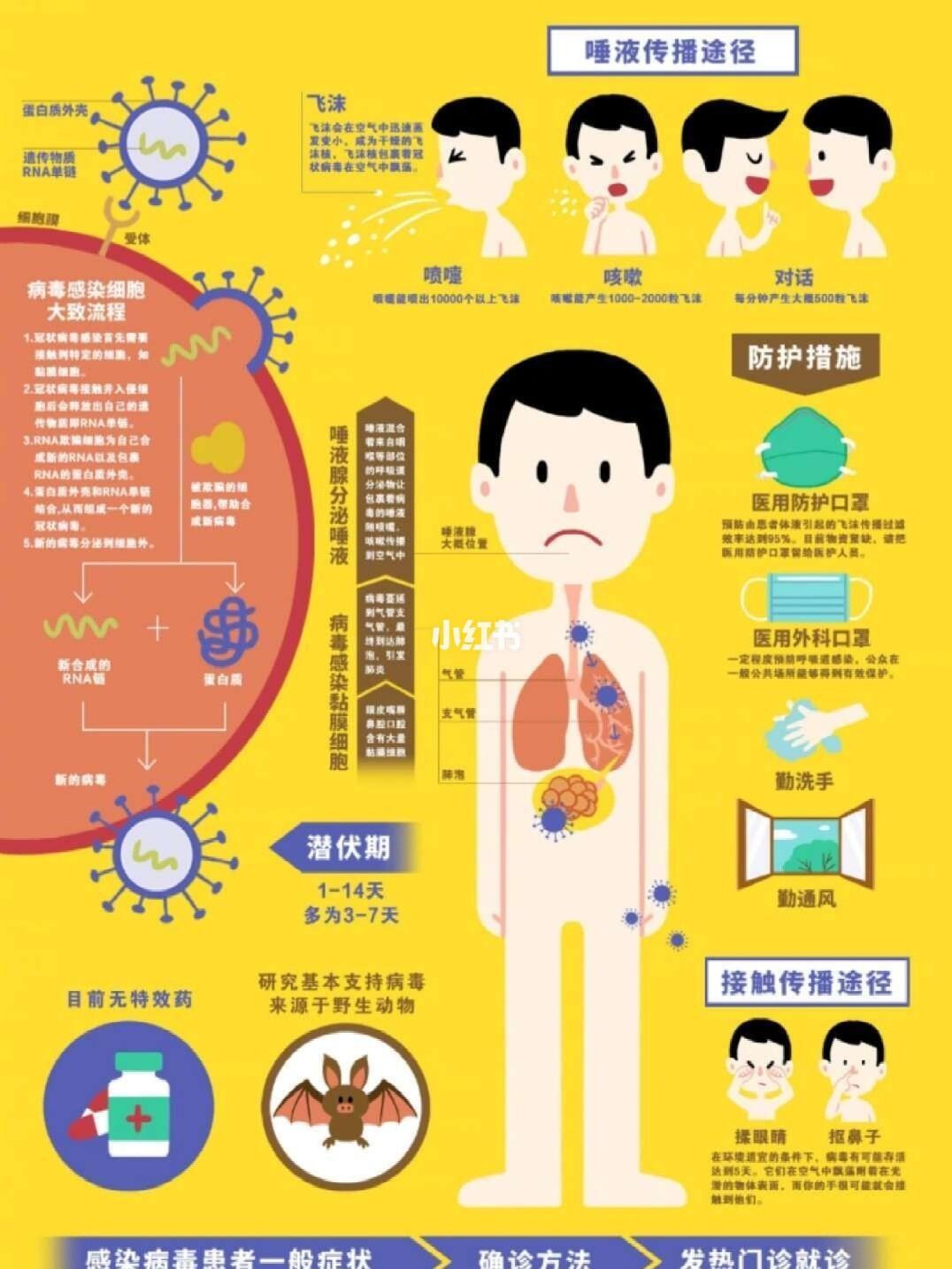 新冠病毒传播途径的最新研究与理解概述