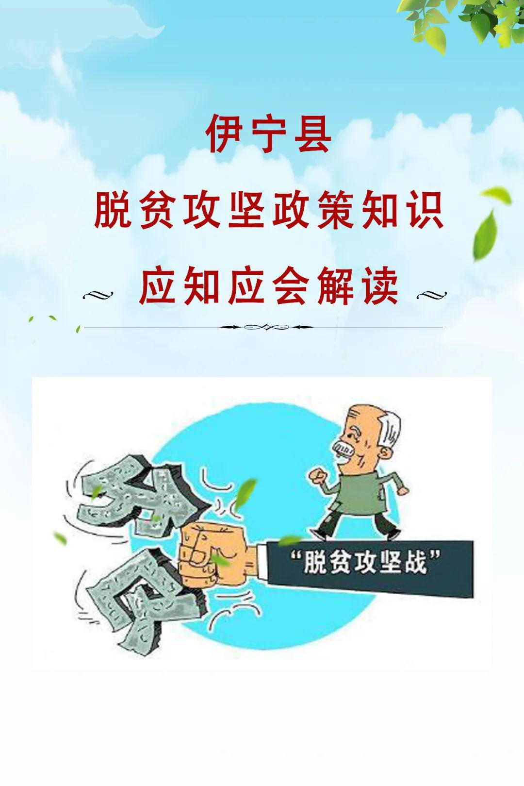 最新政策知识深度解读与探析