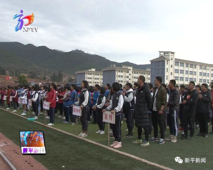 新平彝族傣族自治县小学最新项目，塑造未来教育蓝图