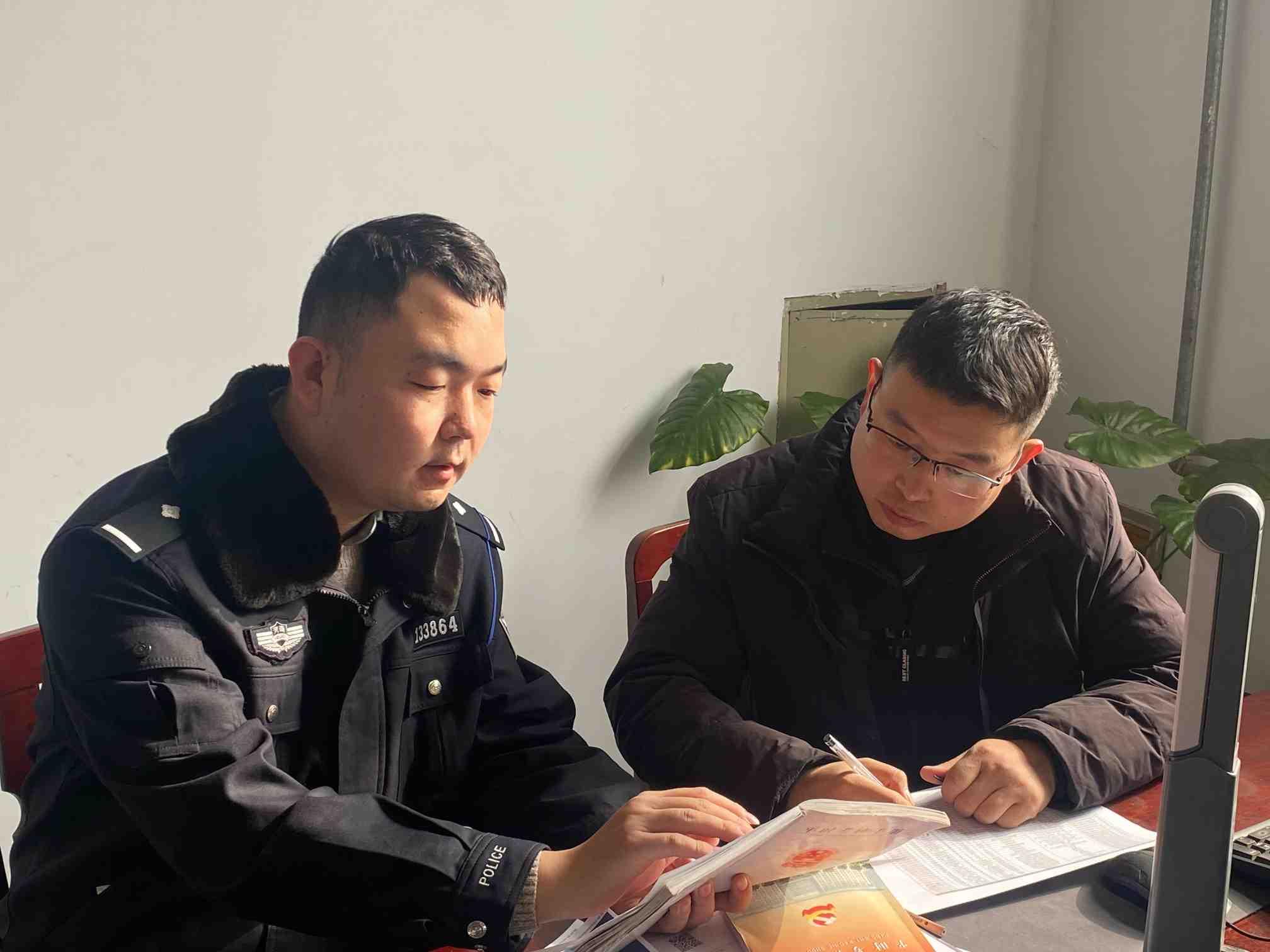 最新数据群的力量与影响分析