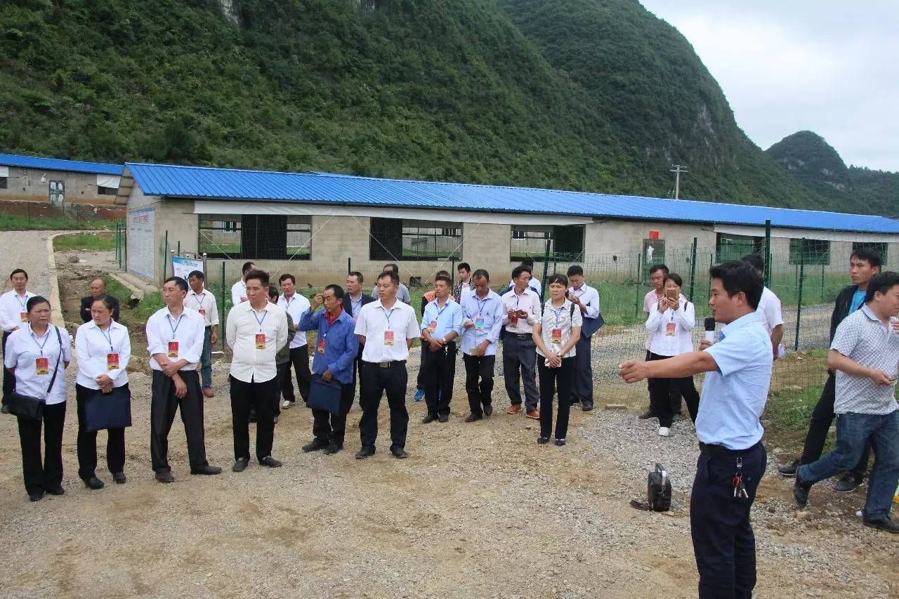 黔南布依族苗族自治州市建设局最新动态