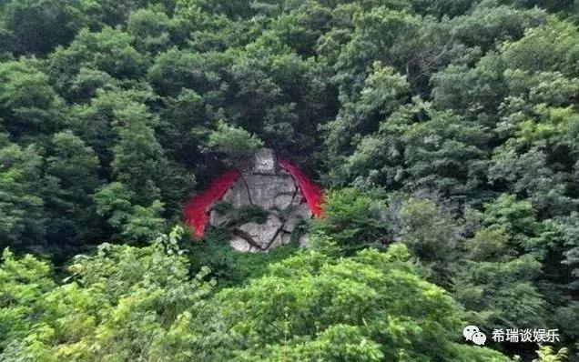 清原满族自治县科技局最新项目进展与前瞻，最新动态及未来展望
