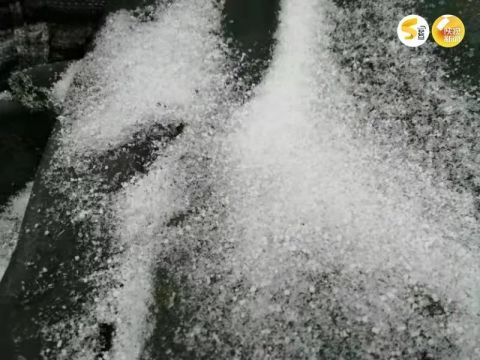 霜冻最新动态，影响、预警及应对策略揭秘