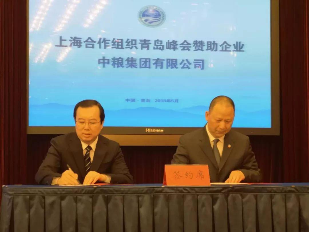 中粮最新事件深度探究与前瞻展望，最新动态及影响分析