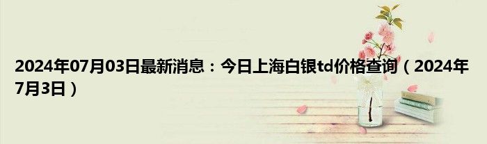 掌握最新消息的关键，信息获取的重要性与策略探究
