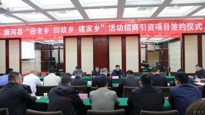 唐河县统计局最新项目，县域经济发展新引擎启动