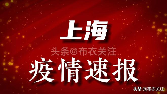 上海疫情最新通报动态及城市状况概览