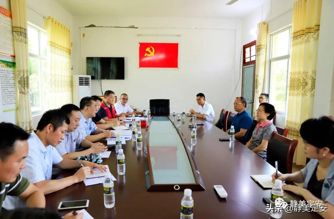 富文镇最新发展规划揭晓，塑造未来繁荣新篇章
