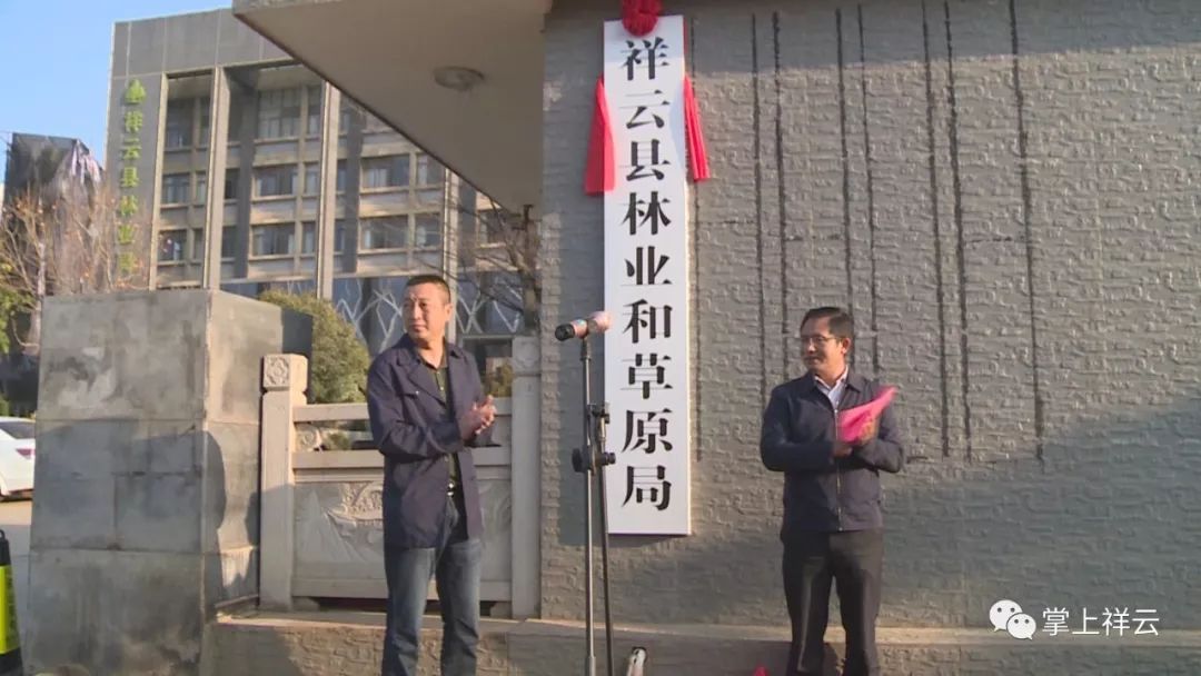 金洋