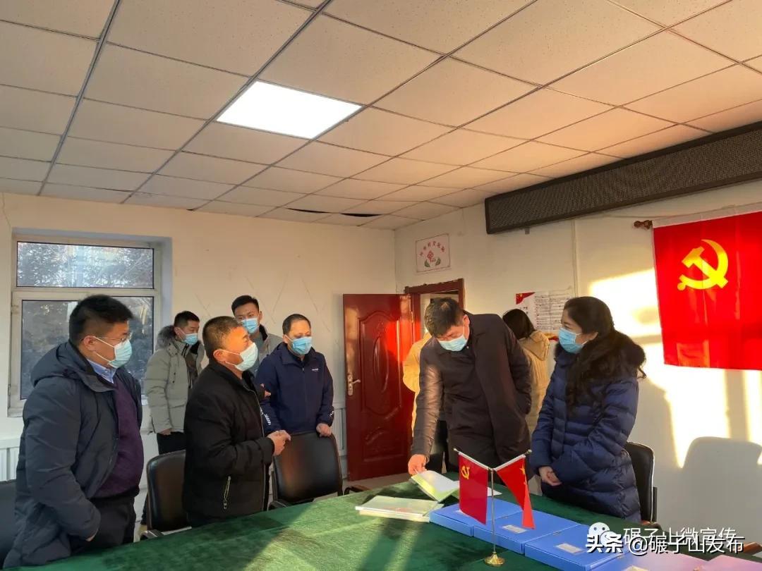 碾子山区小学最新发展规划揭秘，全面提升教育质量，共创未来教育新篇章