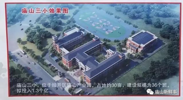 普兰县小学最新发展规划概览