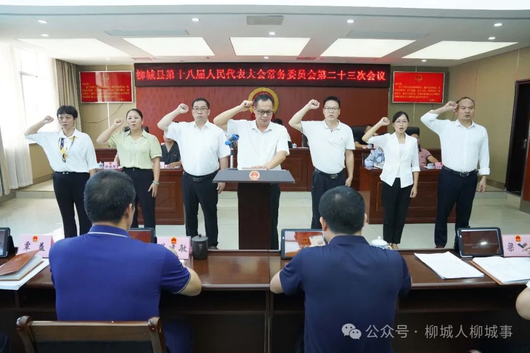 安陆市统计局最新人事任命及其影响分析